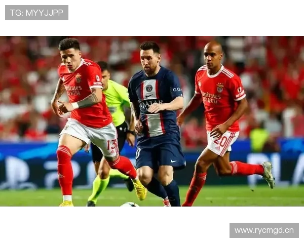 进攻+组织双能力：恩佐的全面数据解析